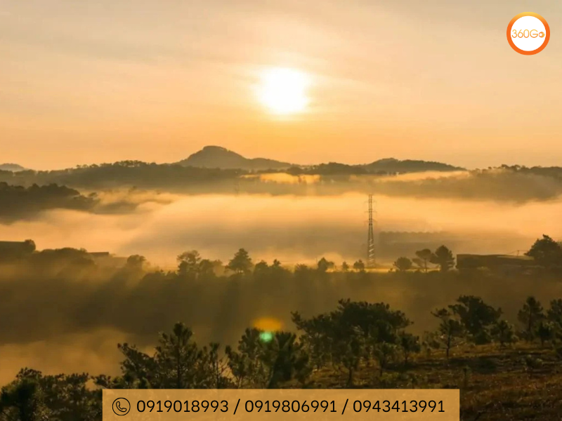 Đồi Thiên Phúc Đức – Biển mây trên đồi cao - Du lịch 360Go